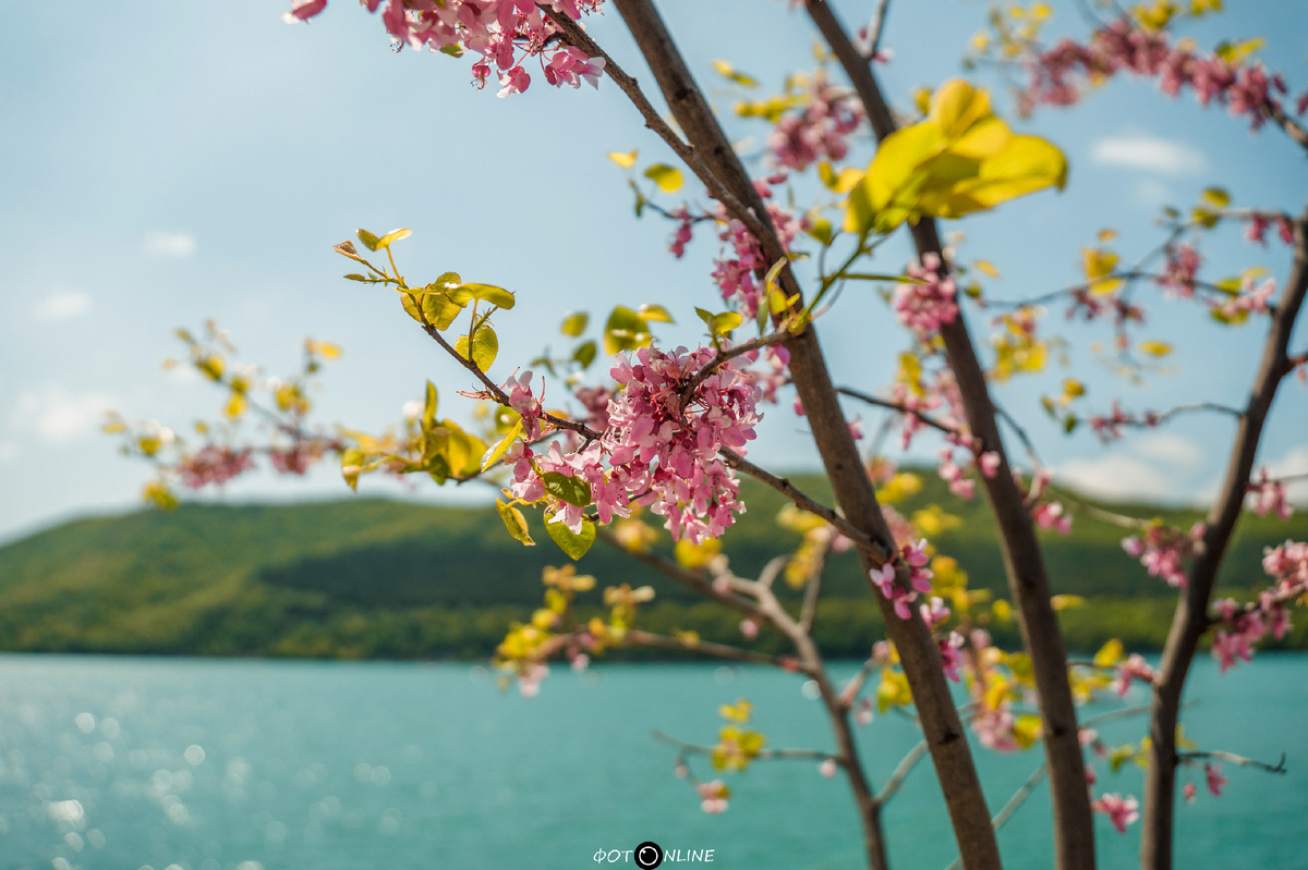 листайте вправо