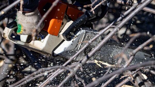    © РИА Новости Крым . Дмитрий Макеев