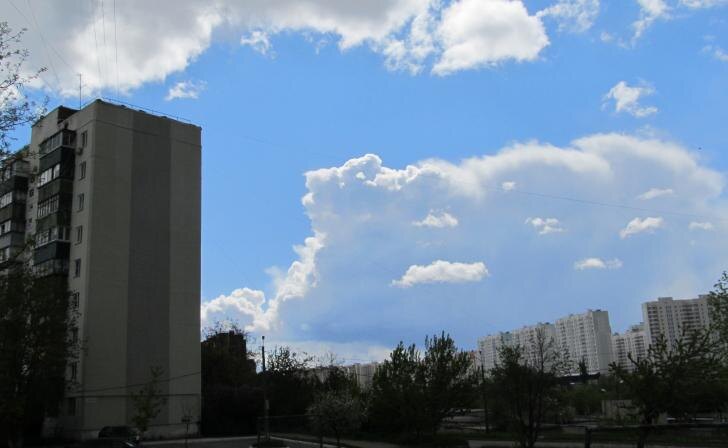    фото Курские известия