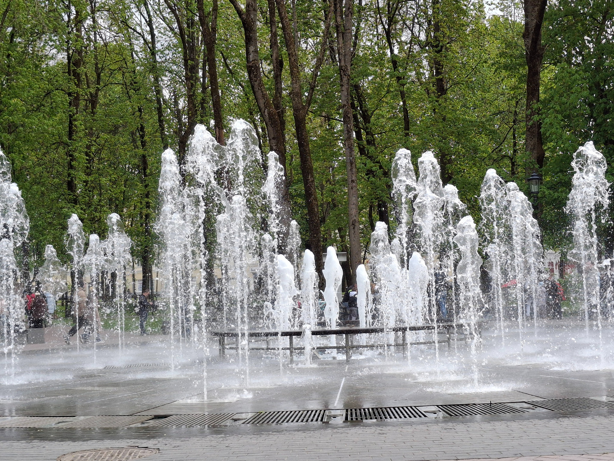 Фотография сделана автором 