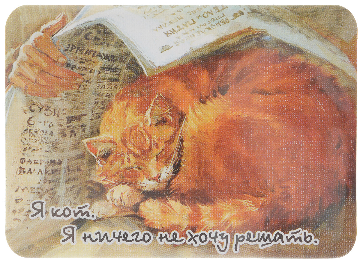 фотография взята в открытом доступе интернета