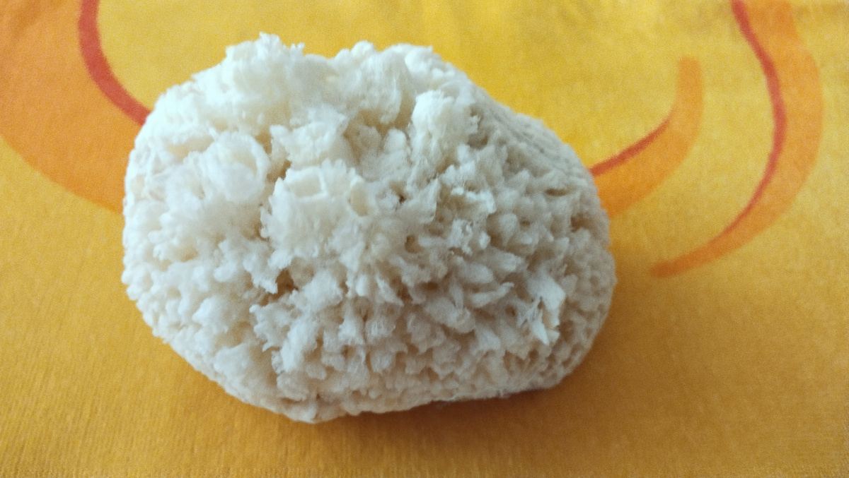 Египетская губка