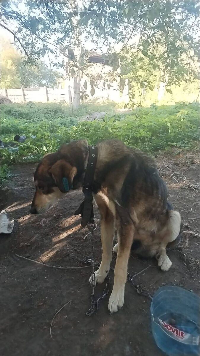 Они просили помощи, но соседи проходили мимо