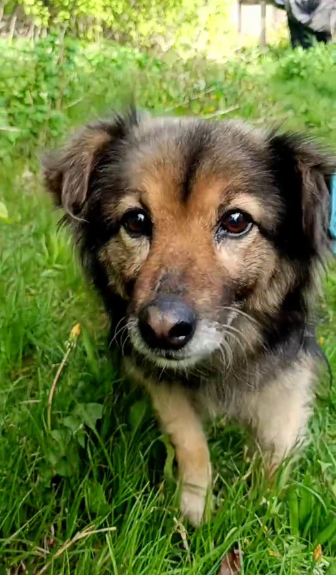 Они просили помощи, но соседи проходили мимо