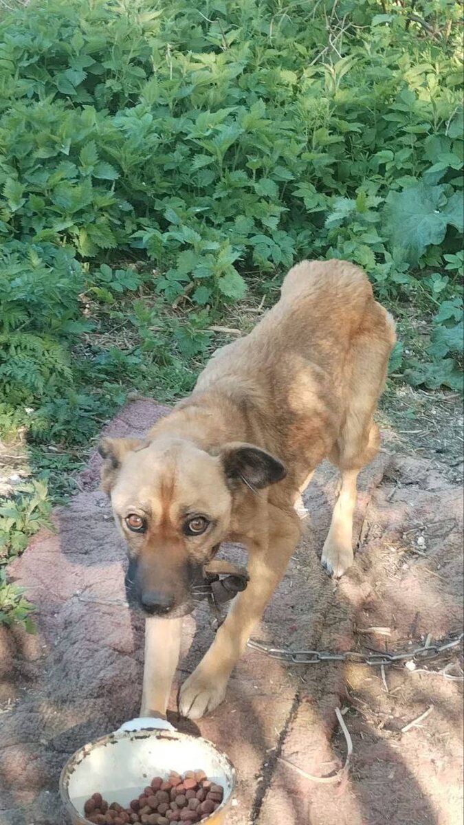 Они просили помощи, но соседи проходили мимо