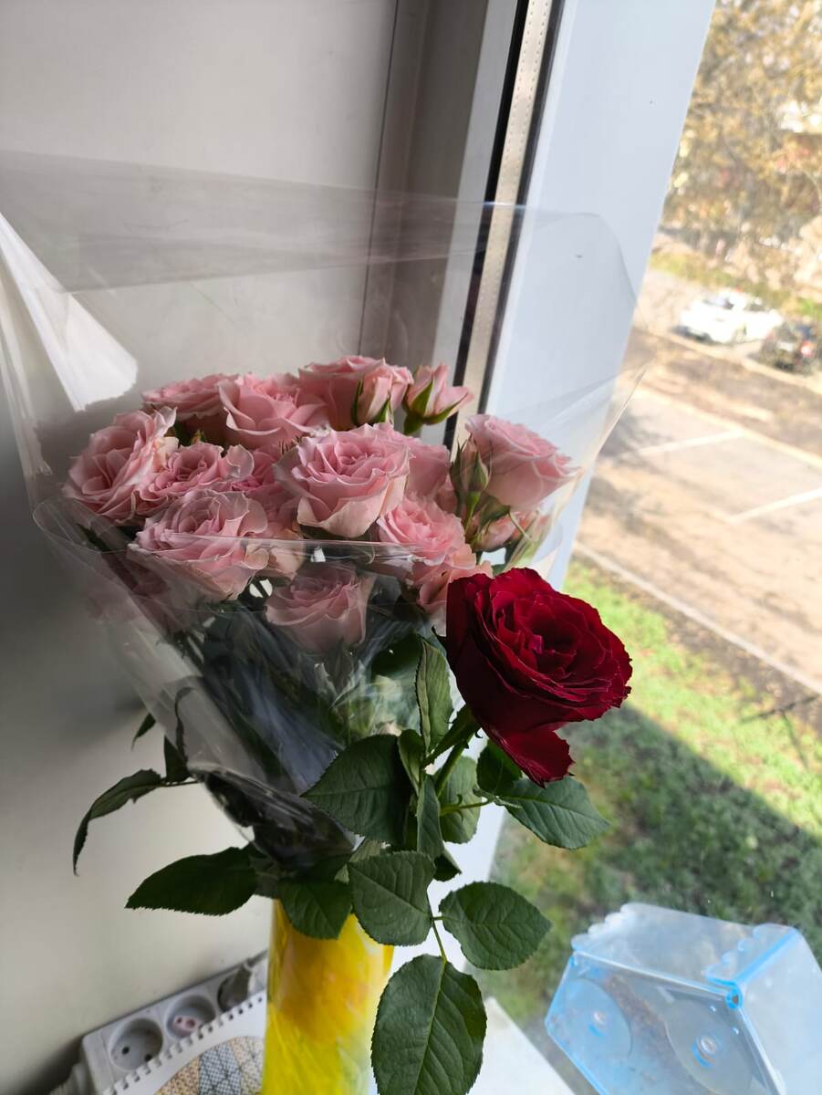 И опять прекрасные цветы... АХ! 