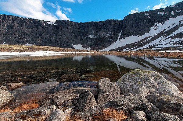 Источник Яндекс картинки