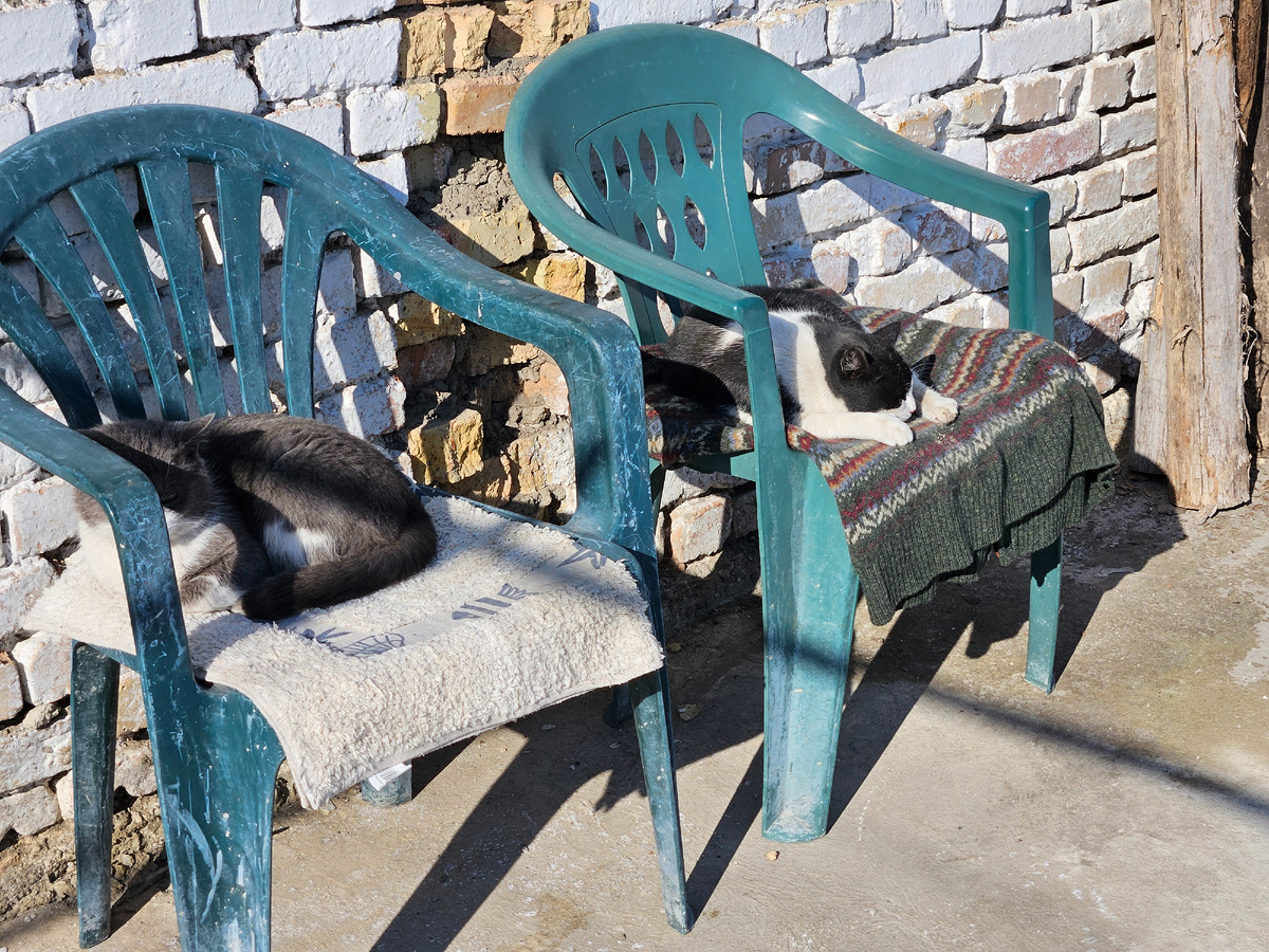 Слева Сивчик, справа Спотти