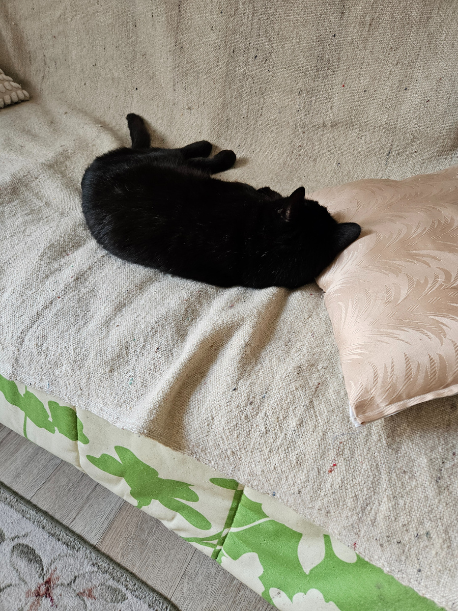 Тимофей спит сладко на диванчике