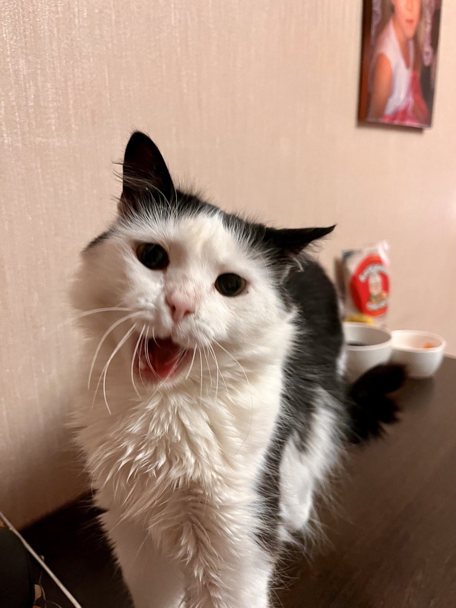 Лиза всех любит. Даже после того, как жизнь её знатно поломала. 