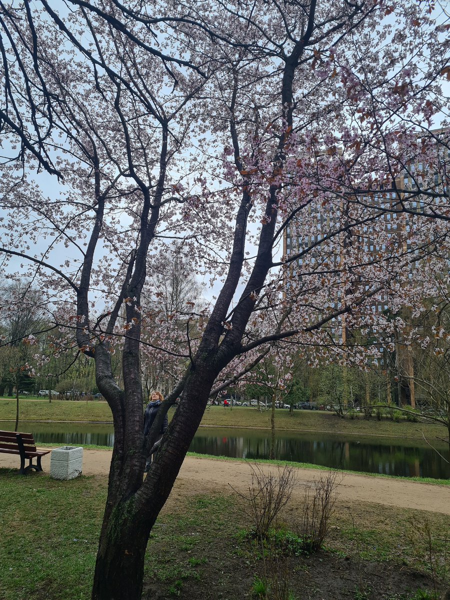 На той стороне пруда видно здание, которое я называю "Две башни", оно как раз из последней уплотнительной застройки