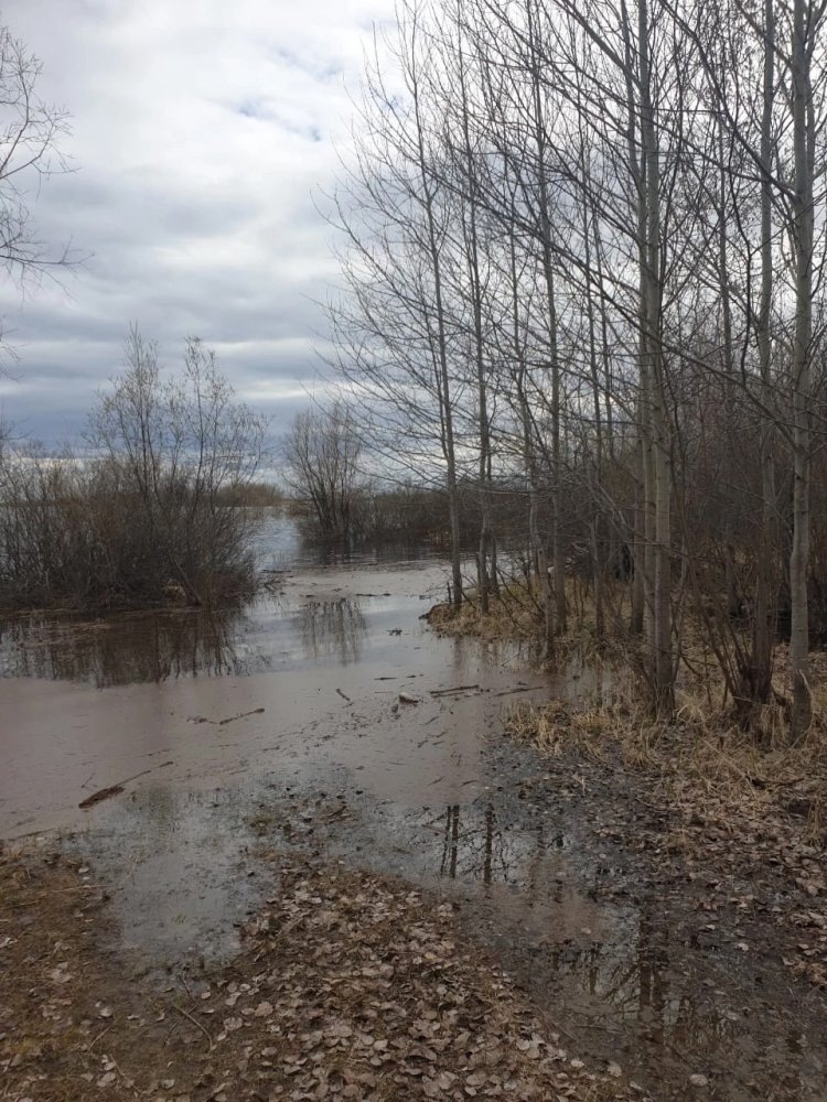    В Югре с начала мая на реках и озёрах утонули шесть человек