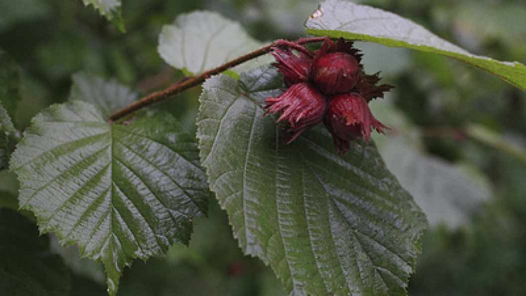    Konstantin Mikhailov/Russian Look/Globallookpress