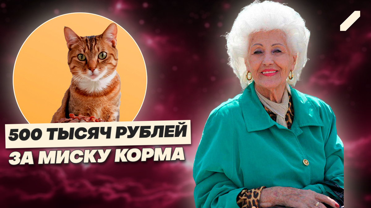 Чужой кот — чужая собственность: как ласка стала нарушением закона