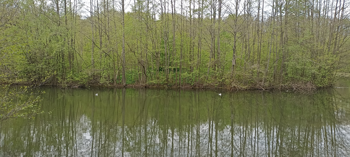 Природа особенно радует своей красотой 