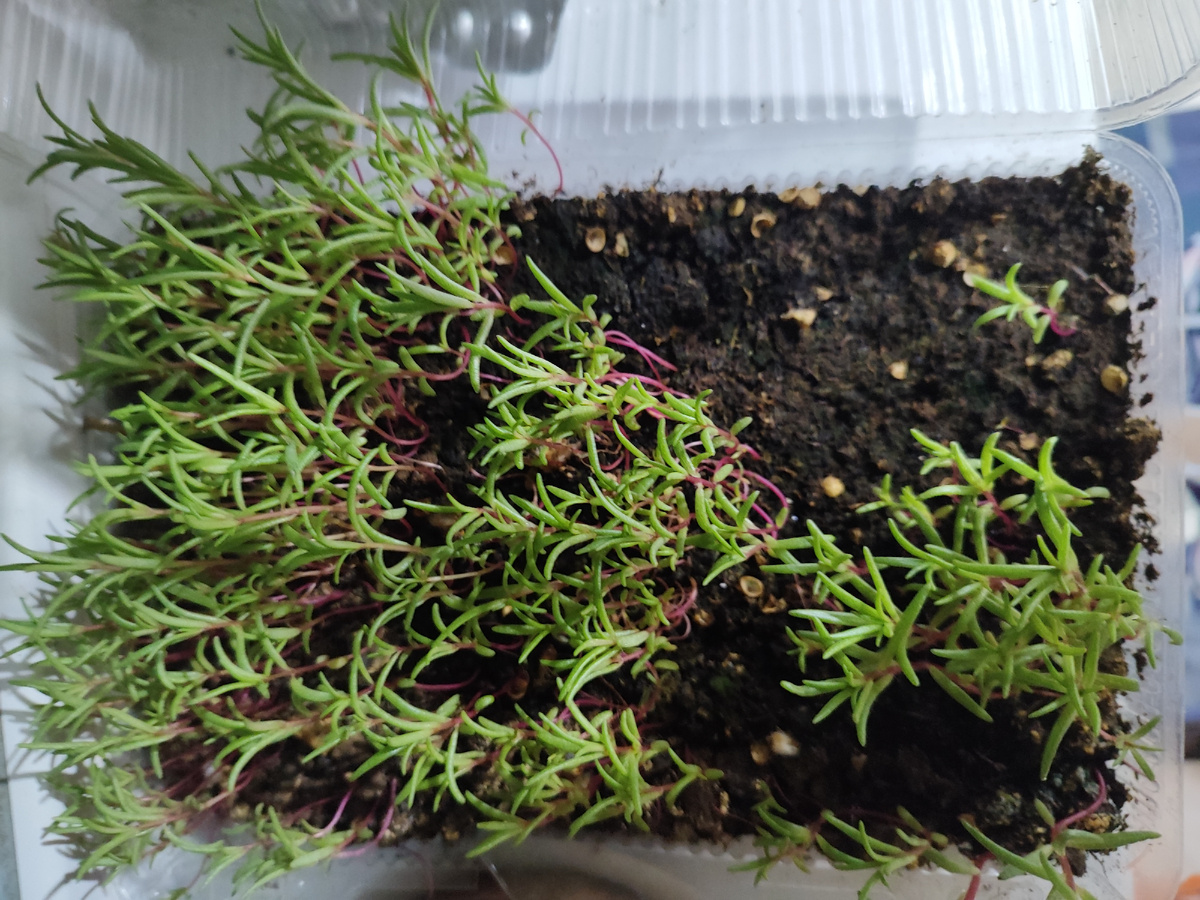 Пустоты в контейнере -было затенение.