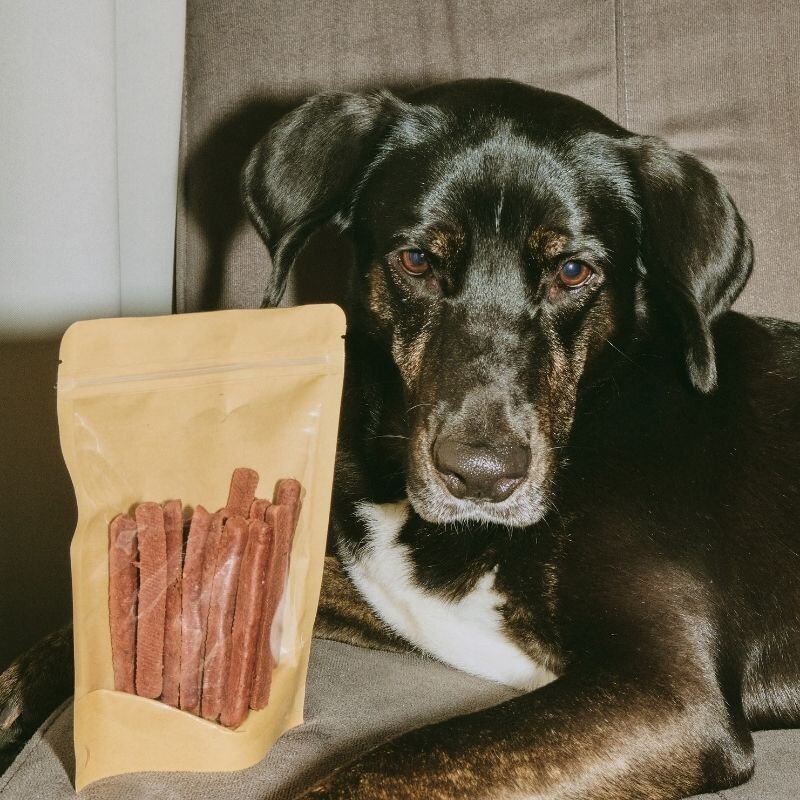 Собака с лакомствами 