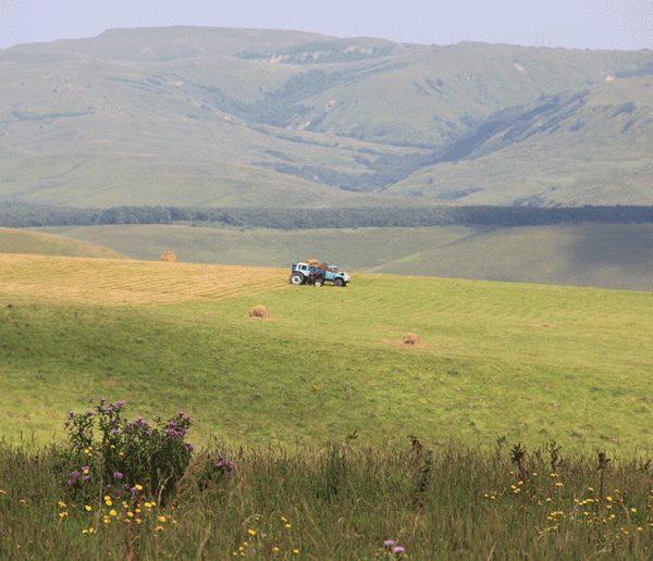 Рис. 7.1. Экологический туризм с полной интеграцией