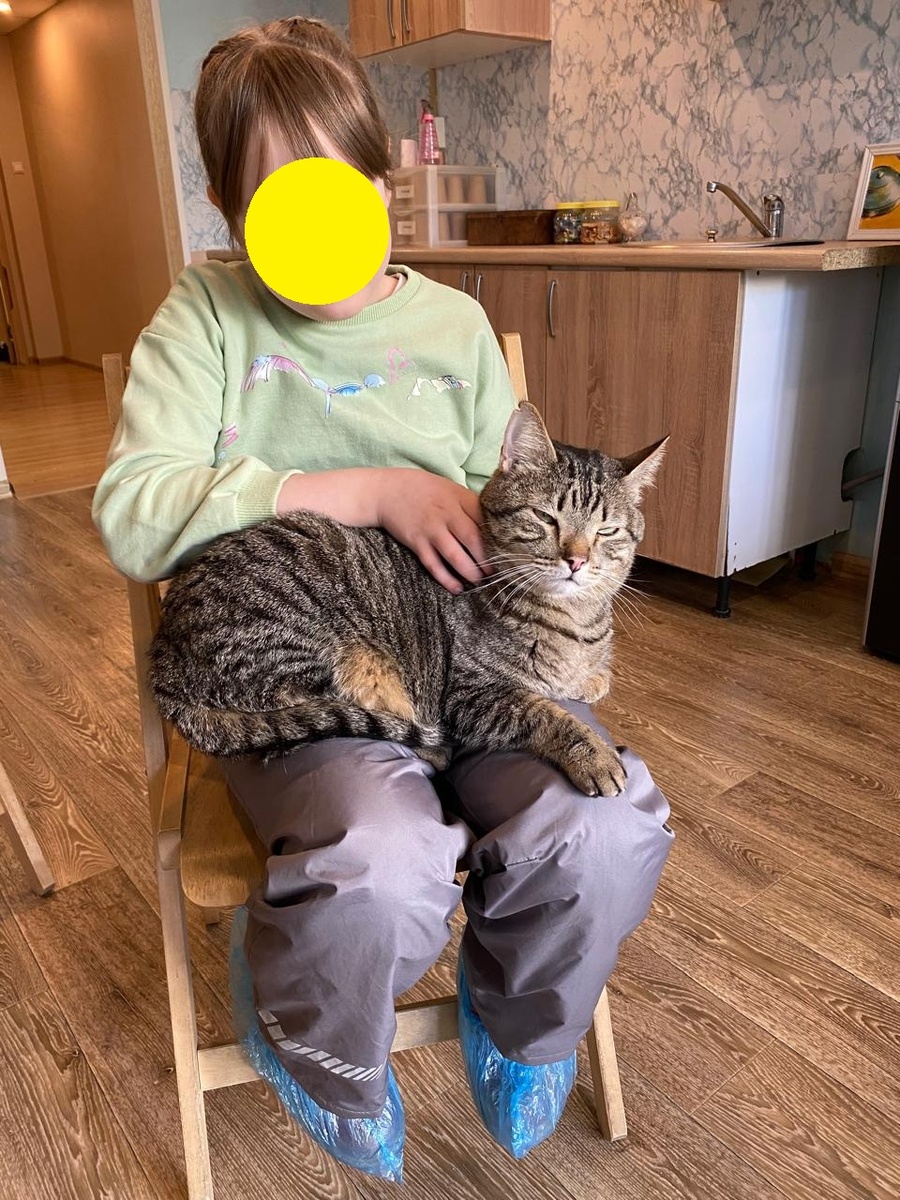 Котик на дочке