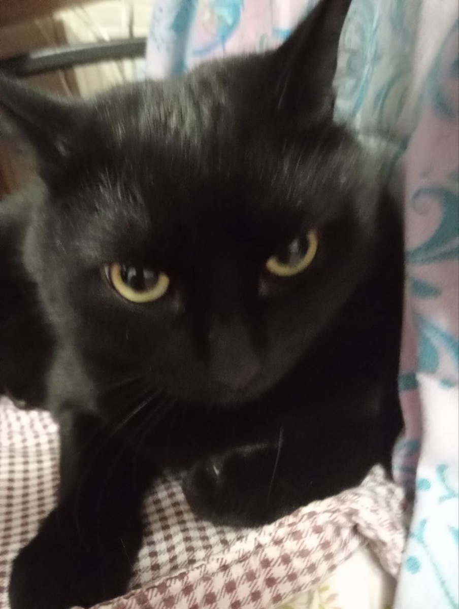 Фото автора.