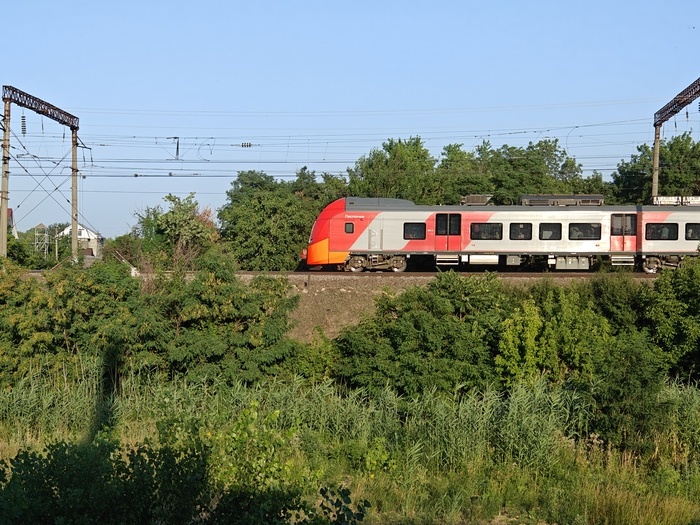    Фото: Юрий Серебренников/BFM Кубань