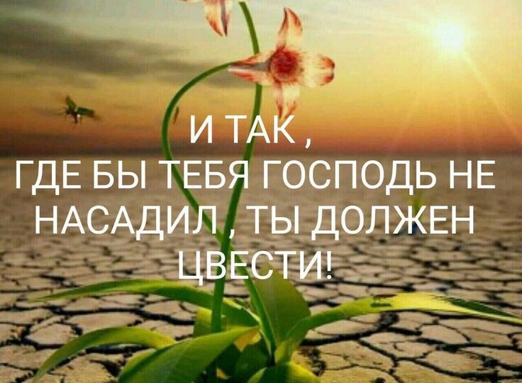 Сердце, в котором живет Христос, не будет лишенным любви и крепкой веры. Притчи дня