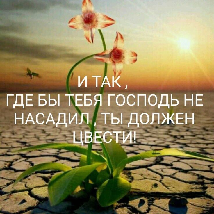 Хорошо сказано, с глубоким смыслом. Источник: https://ru.pinterest.com/pin/463518986657405289/