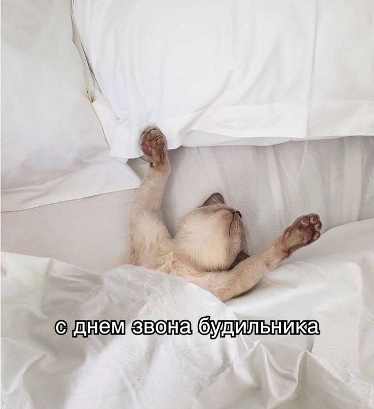 источник Яндекс-картинки