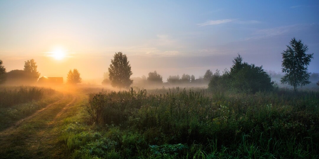 Хорошо в деревне жить!