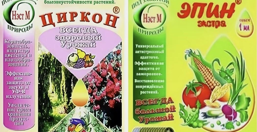 Эпин и Циркон: что нужно знать садоводу о популярных биостимуляторах