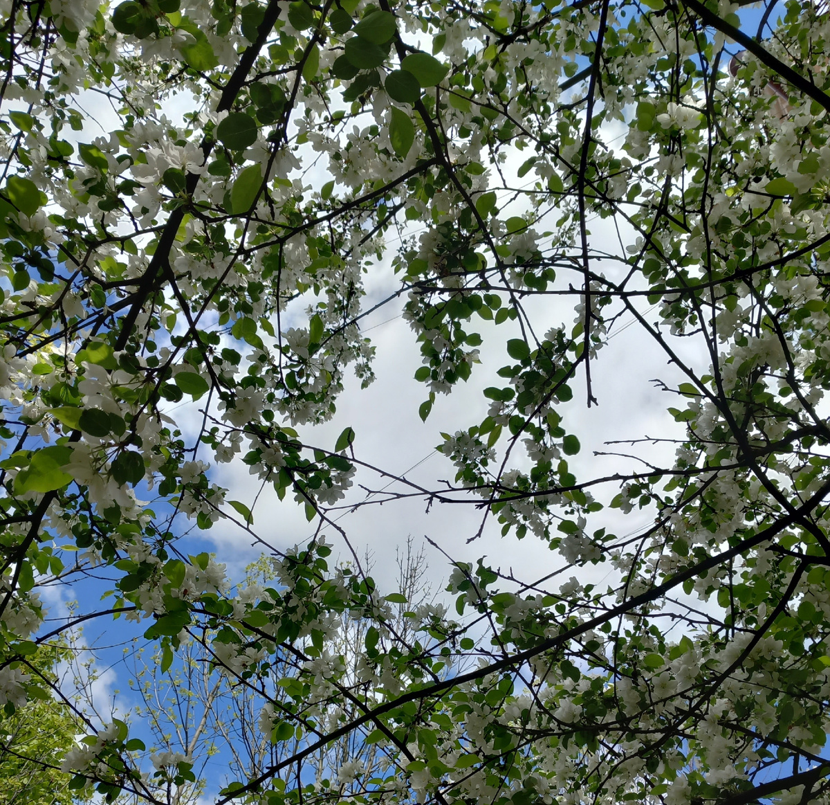 Это я в другой день фотографировала, когда дочь была в коляске, а не на руках - но тоже погода чудо