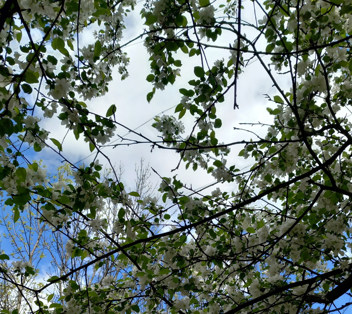 То же облако под другим ракурсом