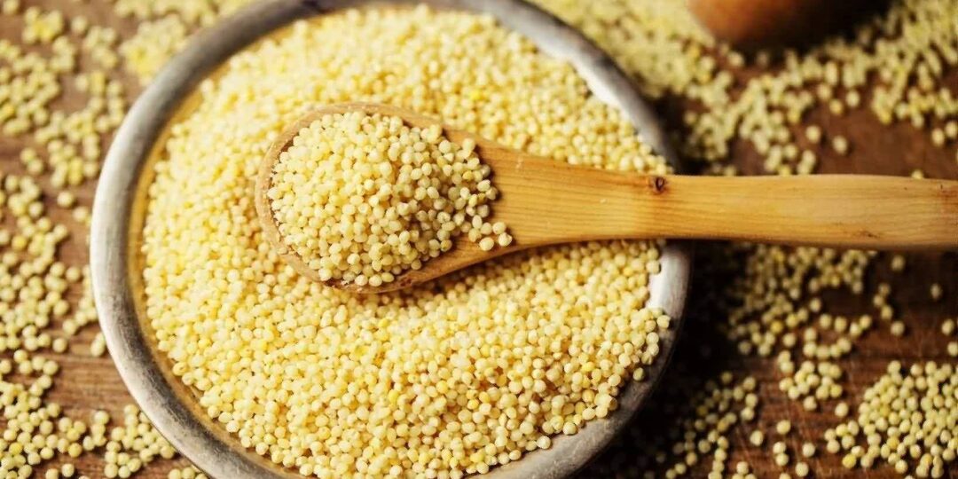 Пшено: польза и вред для здоровья человека