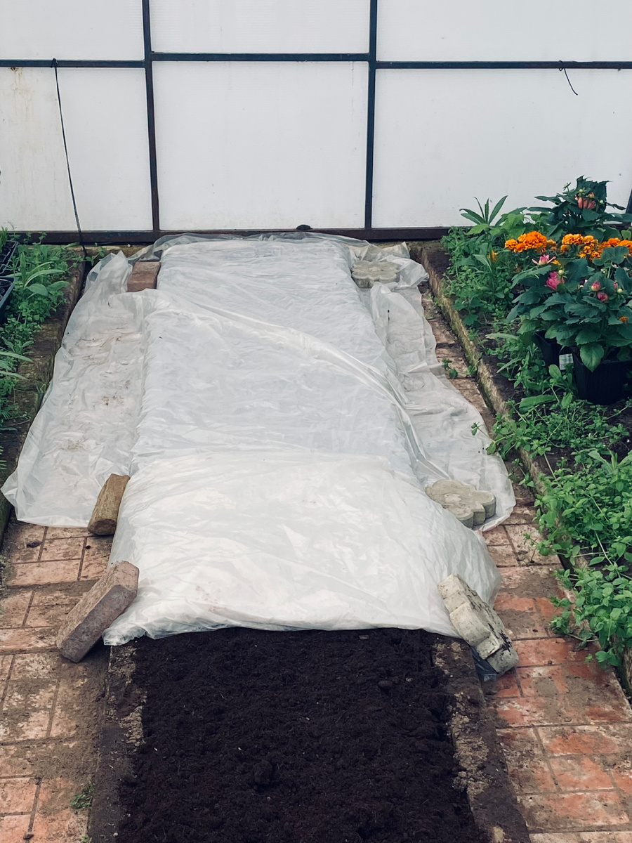 Вот под такой шубой у меня сейчас посажены семена однолетних цветов.