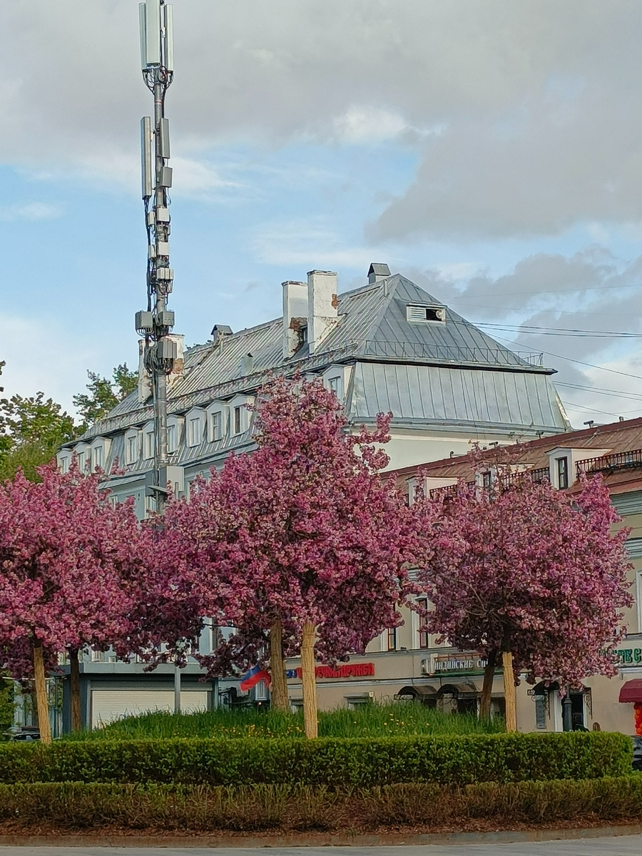 на Сухаревской 