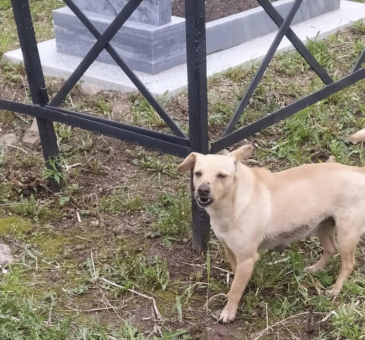 «Чужие рядом с детёнышем? Ни-ни!».  