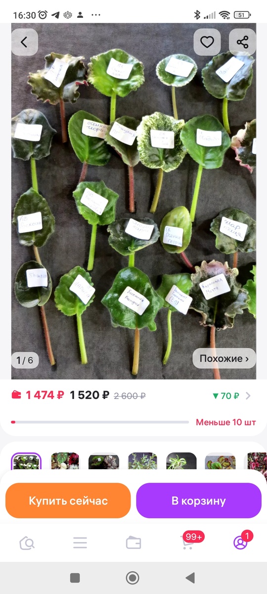 Набор листиков 