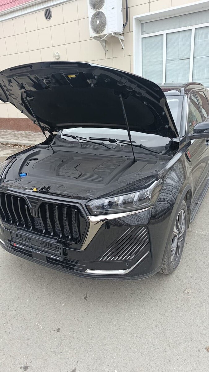Фото: Chery Tiggo 7 Pro Max 2025 (drom.ru)