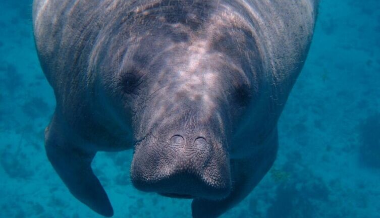     Фото: Maegan Luckiesh on Unsplash