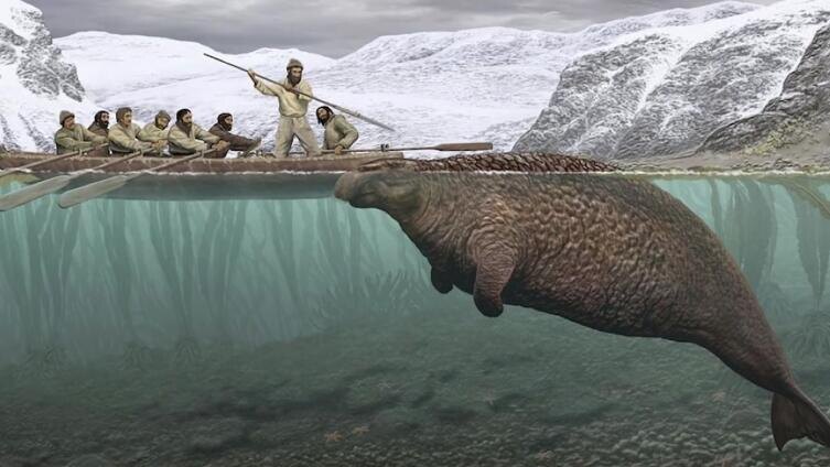    Кадр из видео  «Морская корова — кто это?»