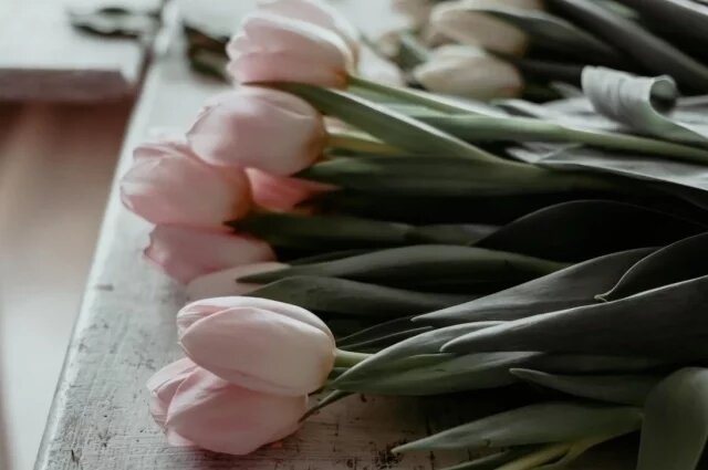    Какой праздник сегодня, 11 мая 2025 года, и что нельзя делать?