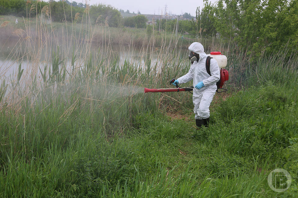    Фото: Дмитрий Рогулин / "Городские вести"