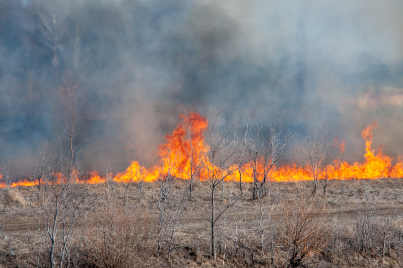    ФОТО: Svetlana Vozmilova/Global Look Press