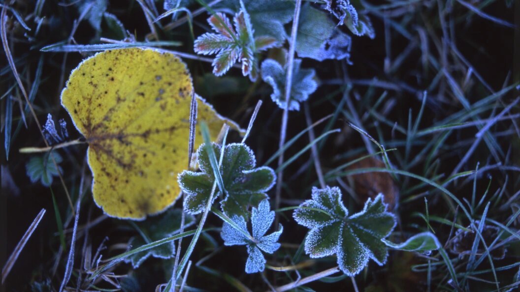    Evgeniy Kanaev/Russian Look/Globallookpress
