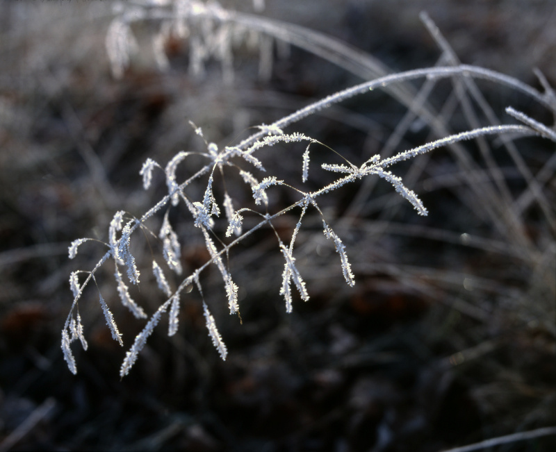    ФОТО: Evgeniy Kanaev/Russian Look/Globallookpress