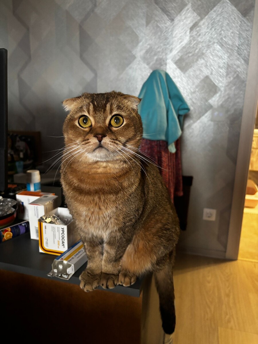 Мэй Ли (из личного архиа)