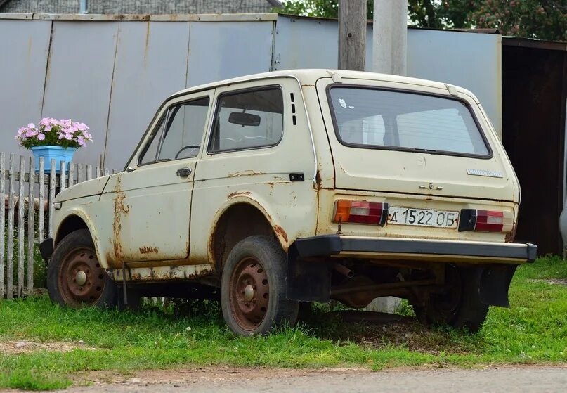 Фото заимствовано - https://vk.com/wall-39667385_40676