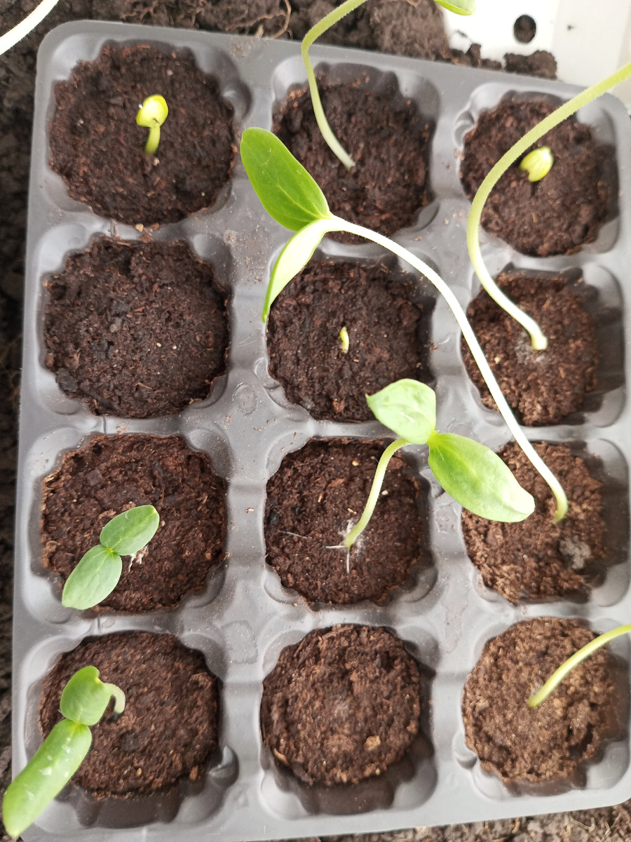 Так это все выглядит.