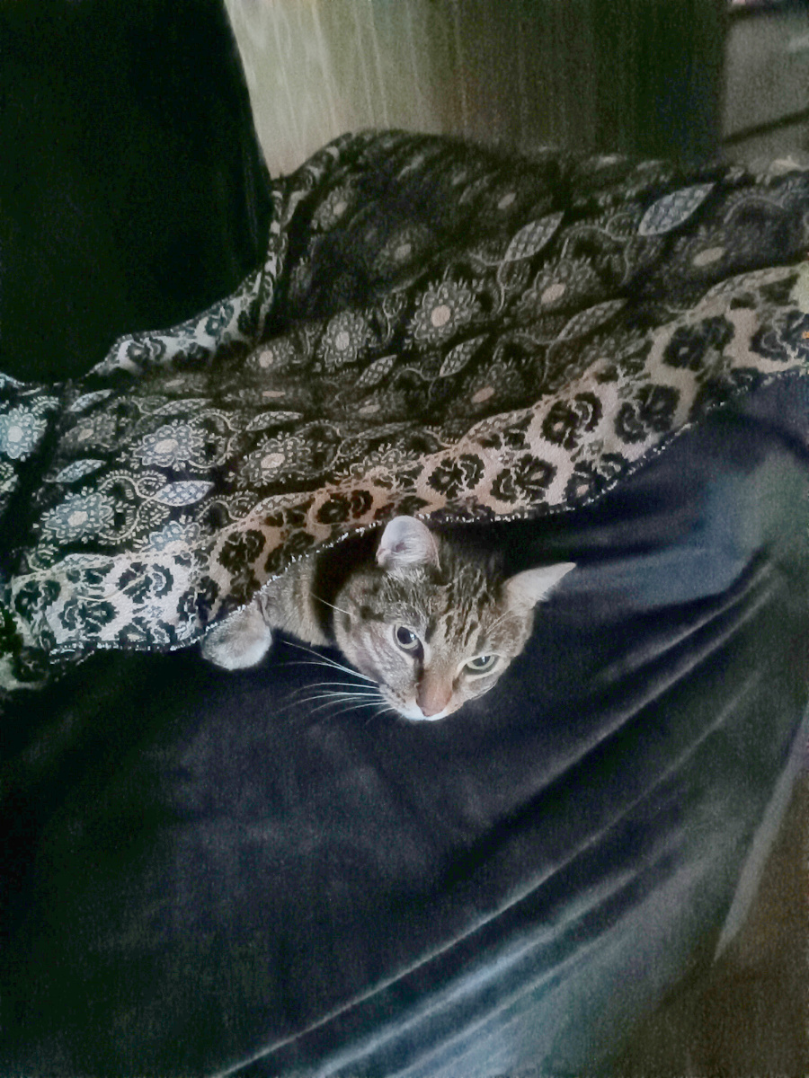 Эти покрывала из верблюжьей шерсти, очень теплые.