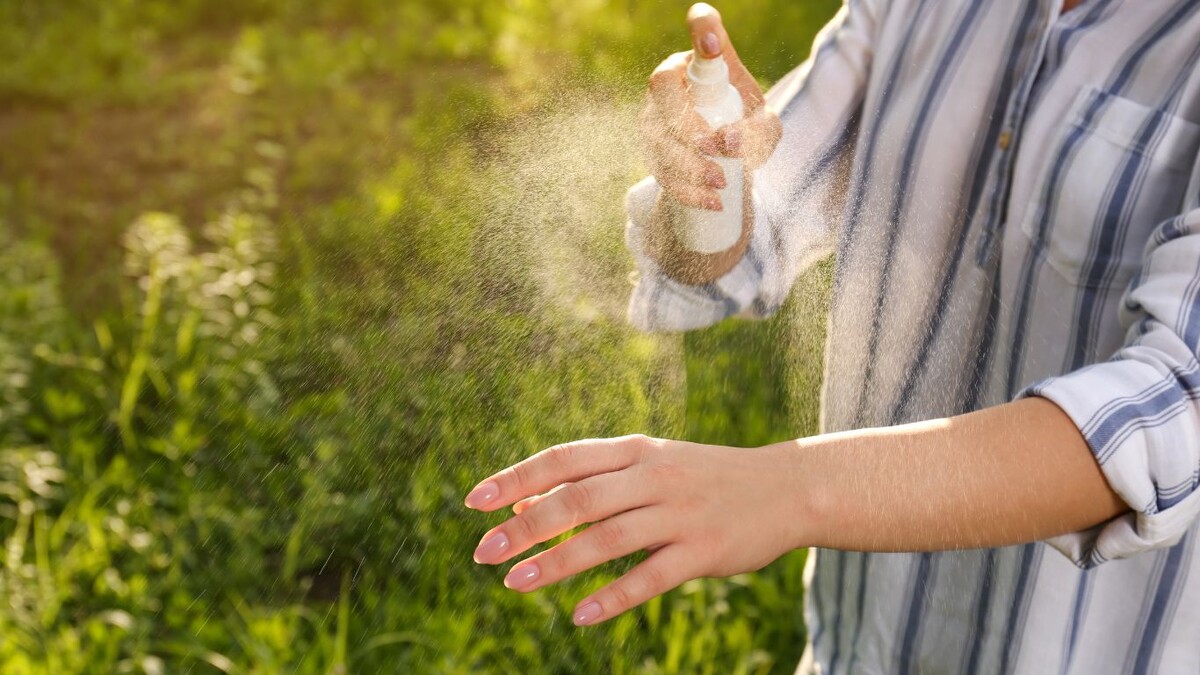 Клещи: маленькие охотники за жизнями. Почему прививка — это не про «для галочки», а про выживание 